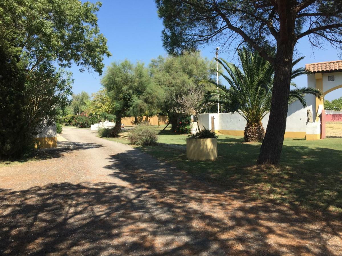 El Rocio 1 Gites Equestre Saintes-Maries-de-la-Mer Dış mekan fotoğraf