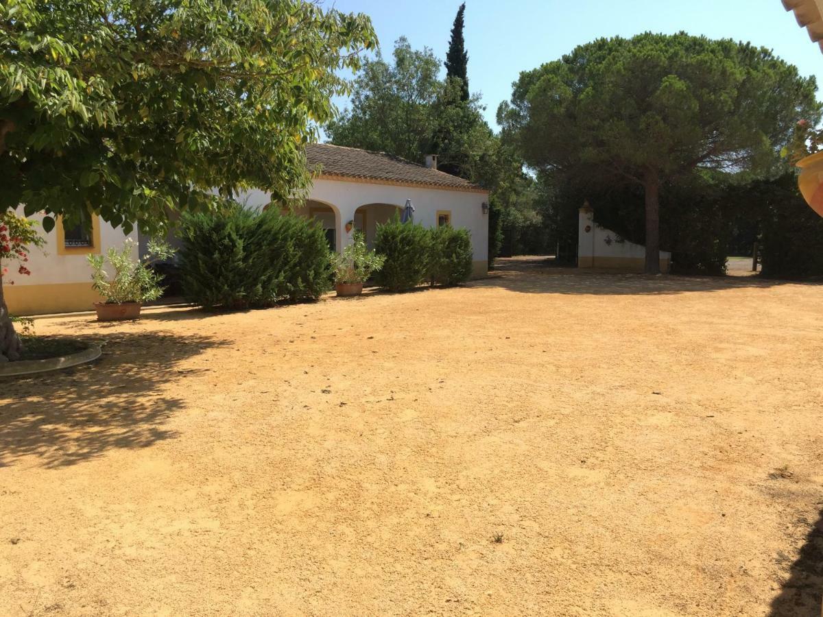 El Rocio 1 Gites Equestre Saintes-Maries-de-la-Mer Dış mekan fotoğraf
