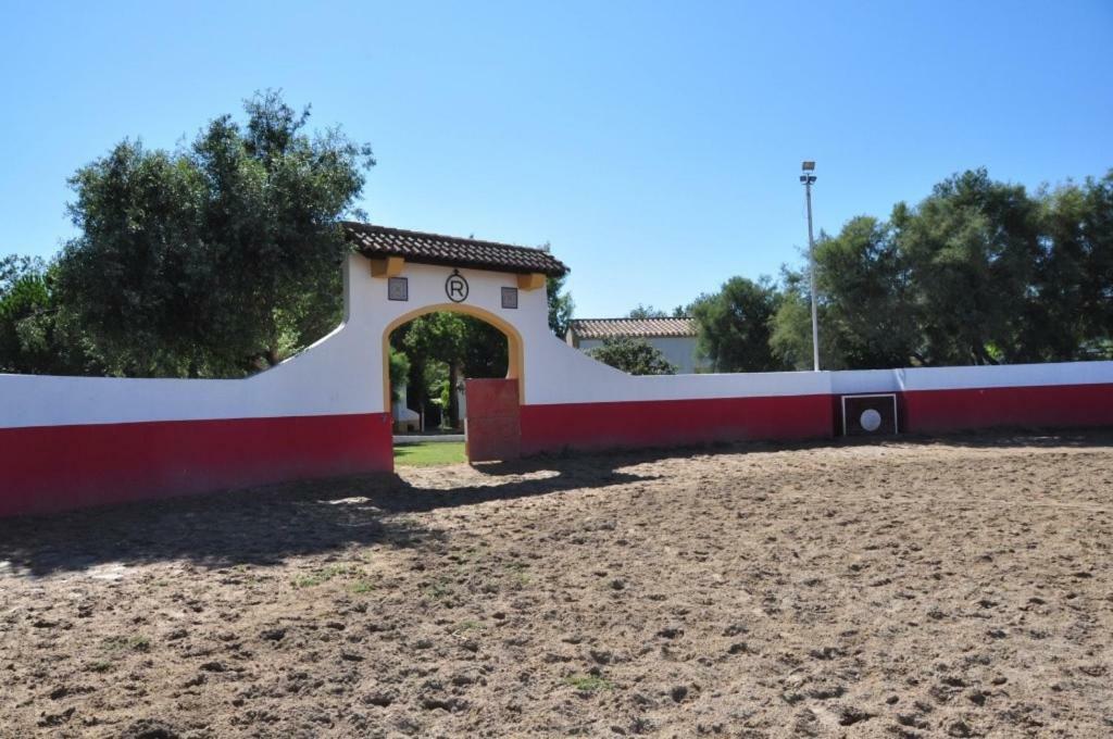 El Rocio 1 Gites Equestre Saintes-Maries-de-la-Mer Dış mekan fotoğraf