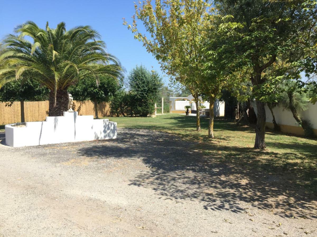 El Rocio 1 Gites Equestre Saintes-Maries-de-la-Mer Dış mekan fotoğraf